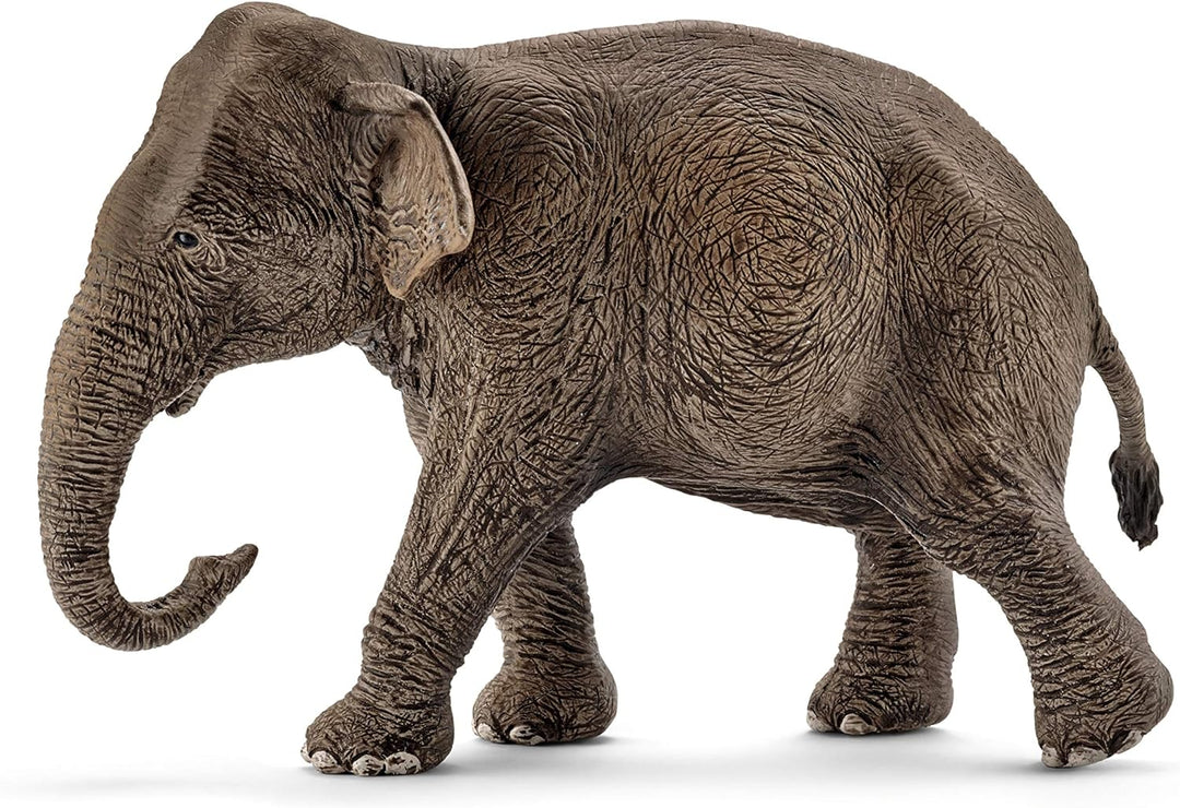 Schleich Wildlife Asian Elephant - Female Animal Figure (14753)