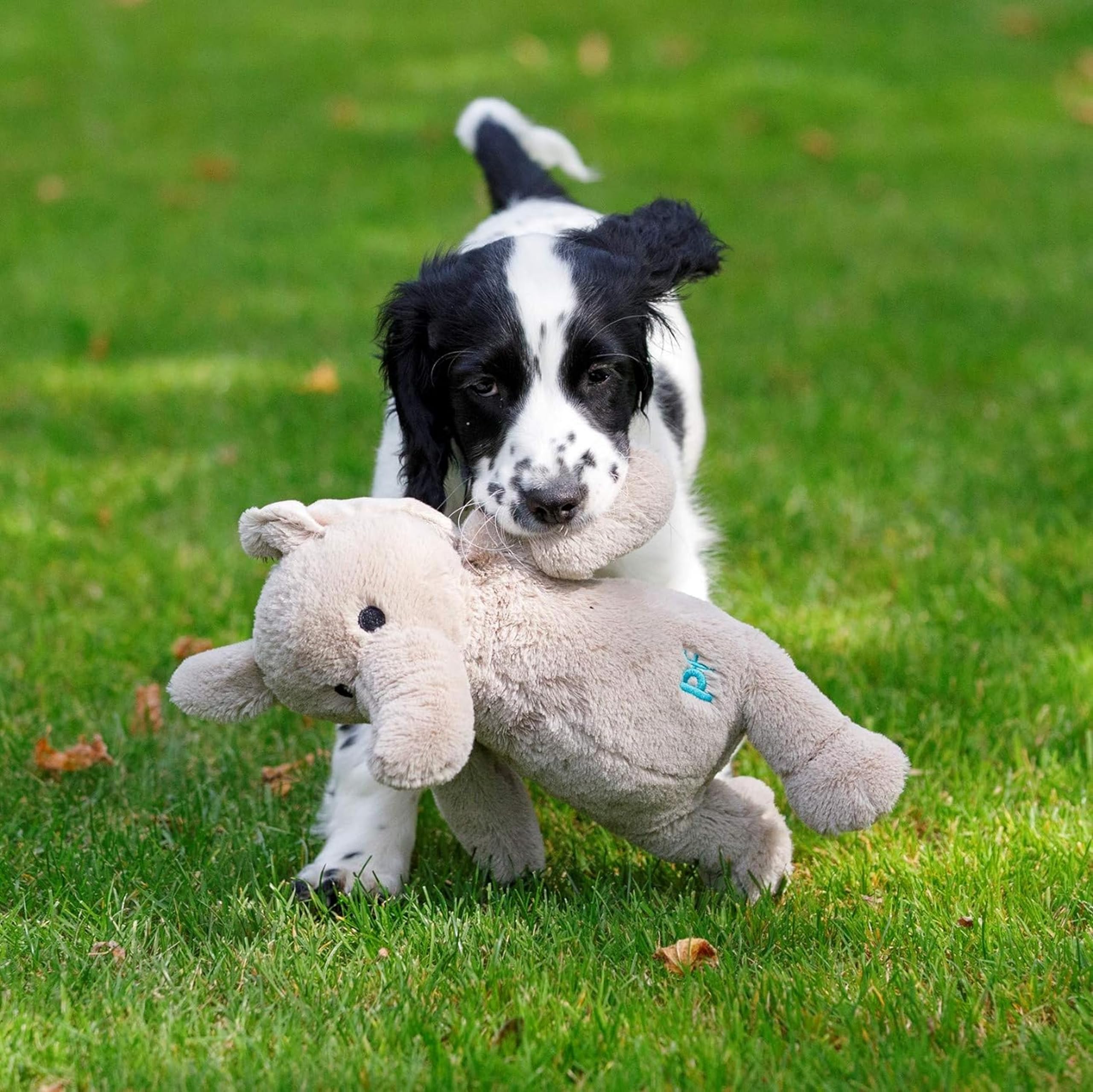 Petface Betty Elephant Plush Dog Toy - Lightweight & Durable | Small Breeds 6