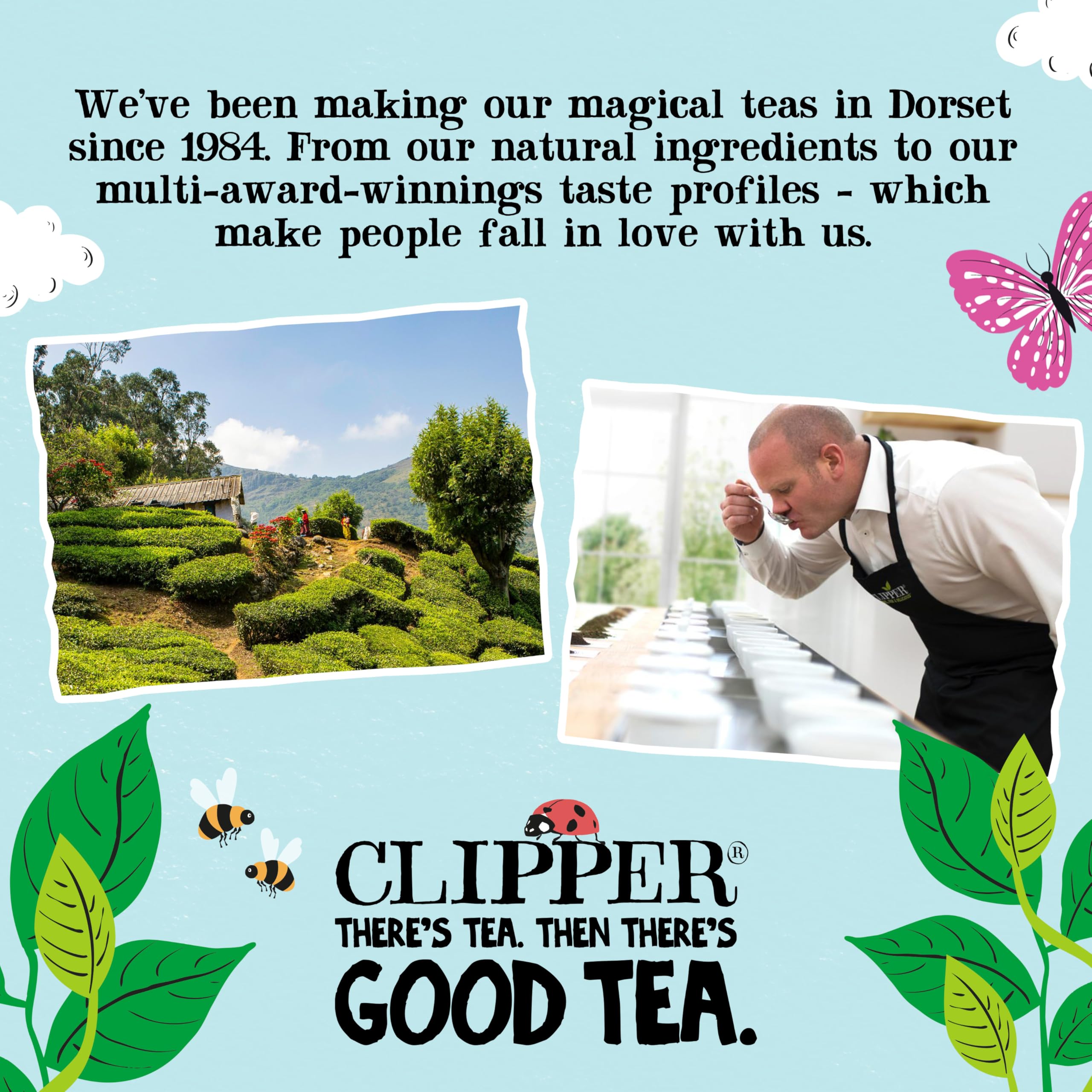 Clipper Natural, Fair & Delicious Organic Pure Green Tea Bags - 50 Count, Antioxidant Source 8