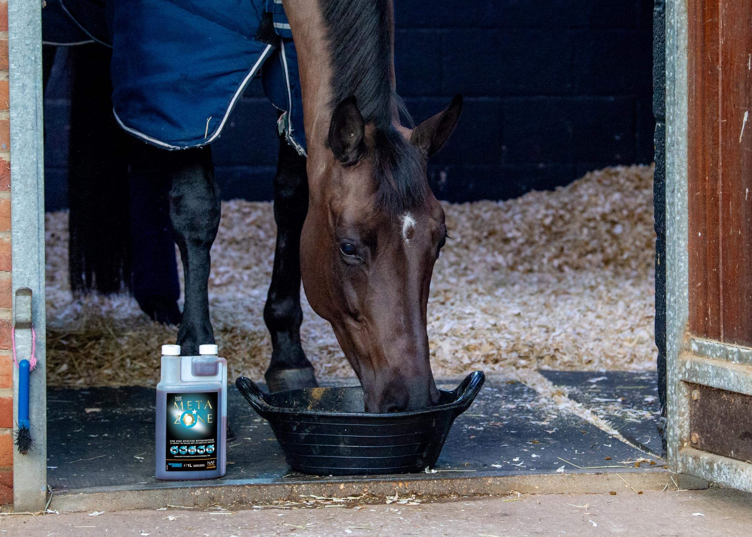 NAF Five Star Metazone Liquid - Natural Anti-Inflammatory Support | 1L | Equine Health 2