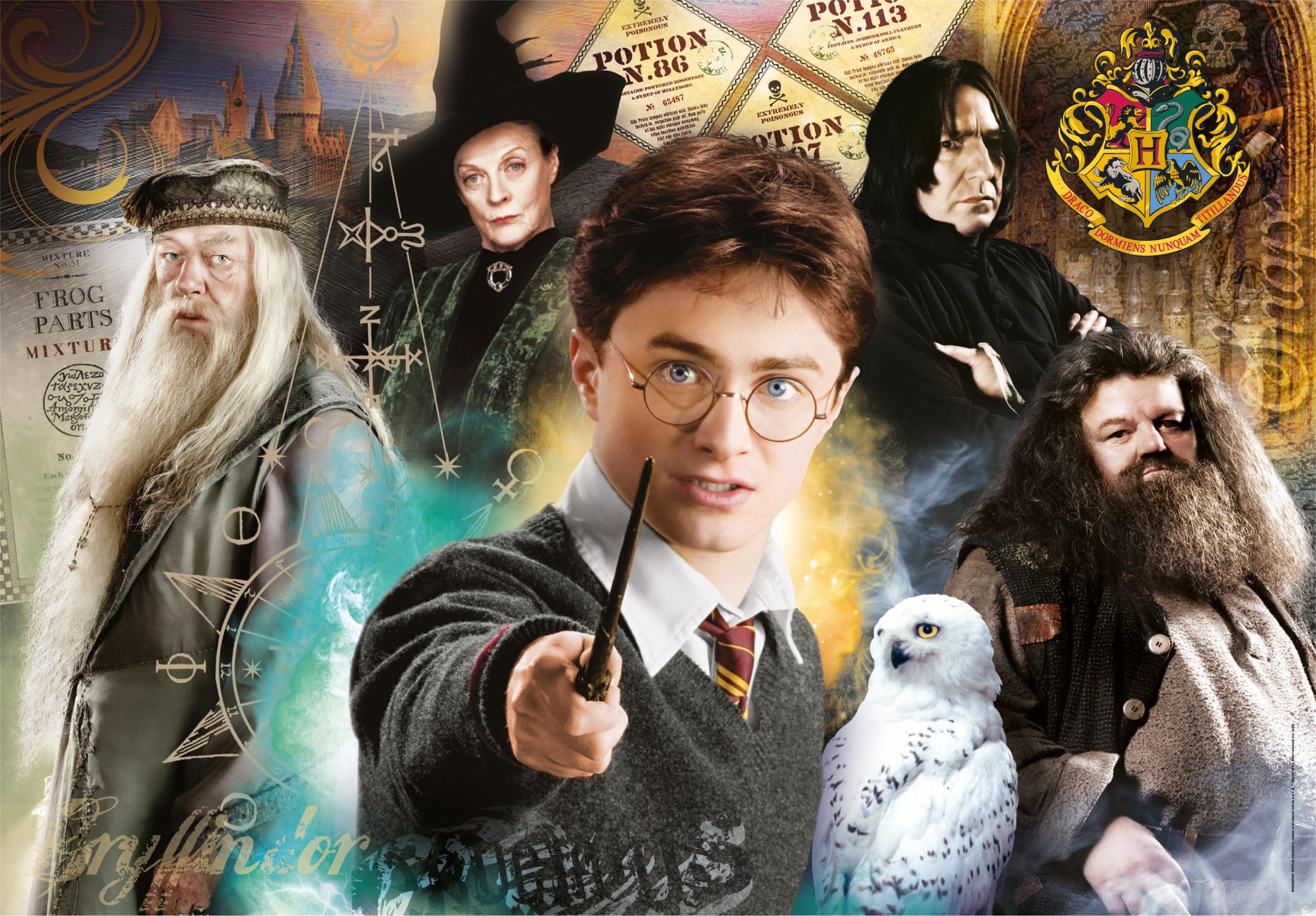 Clementoni Harry Potter Jigsaw Puzzle - 500 Pieces | 49 x 36 cm Completed Size