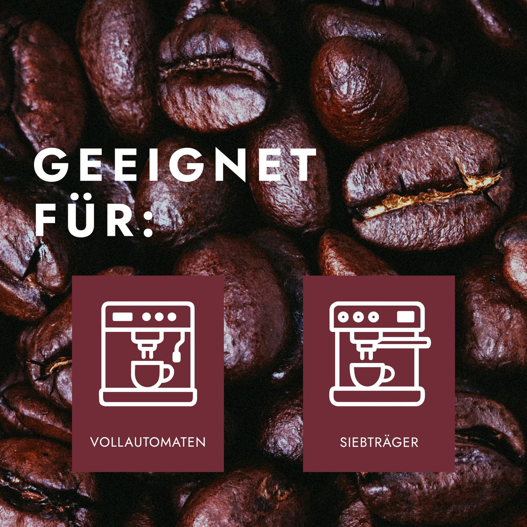 Pelican Rouge DYNAMIQUE Whole Dark Roasted Coffee Beans | 75% Arabica | Rainforest Alliance Certified