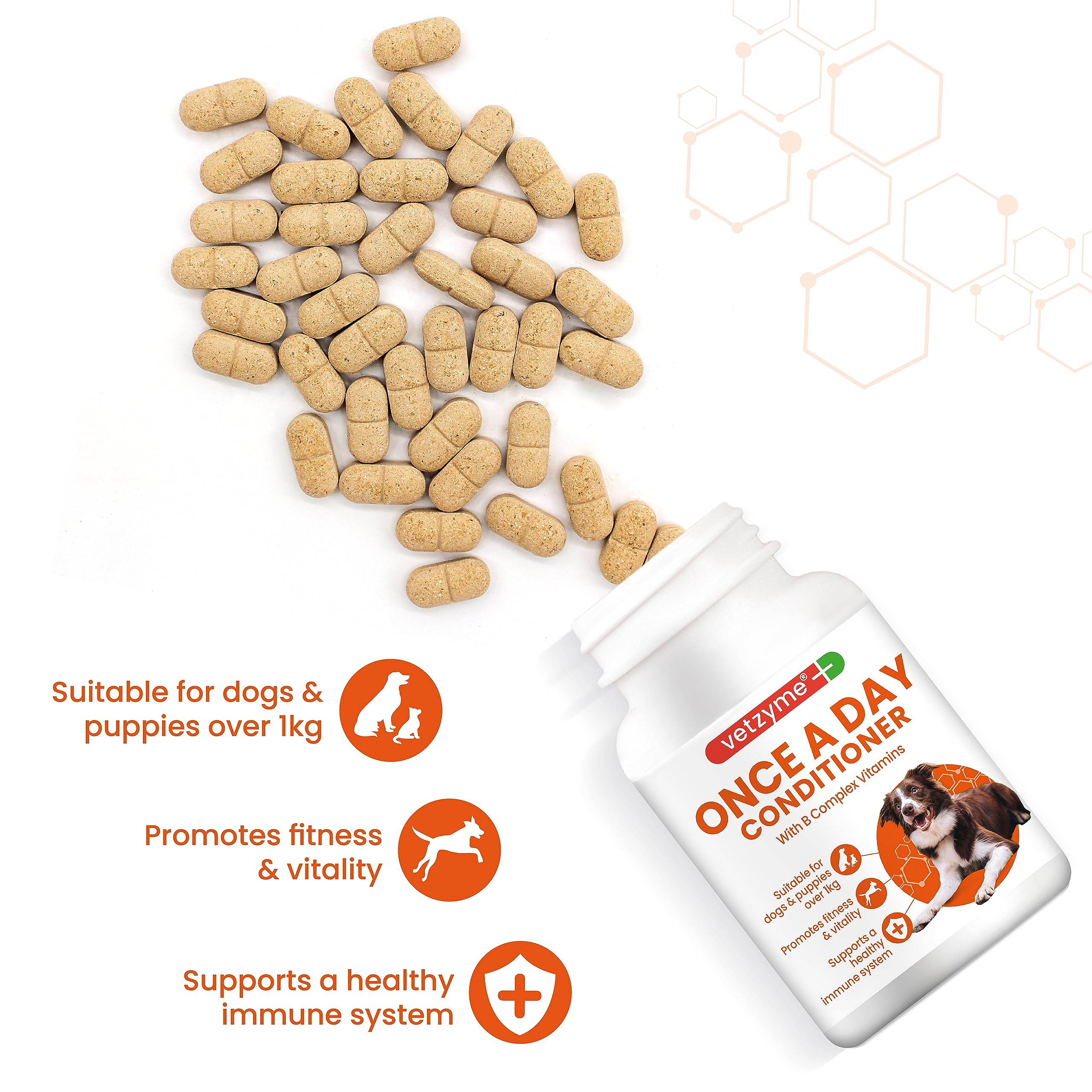 Vetzyme Once A Day Conditioning Tablets for Dogs - Multivitamin with B Complex | 30 Count