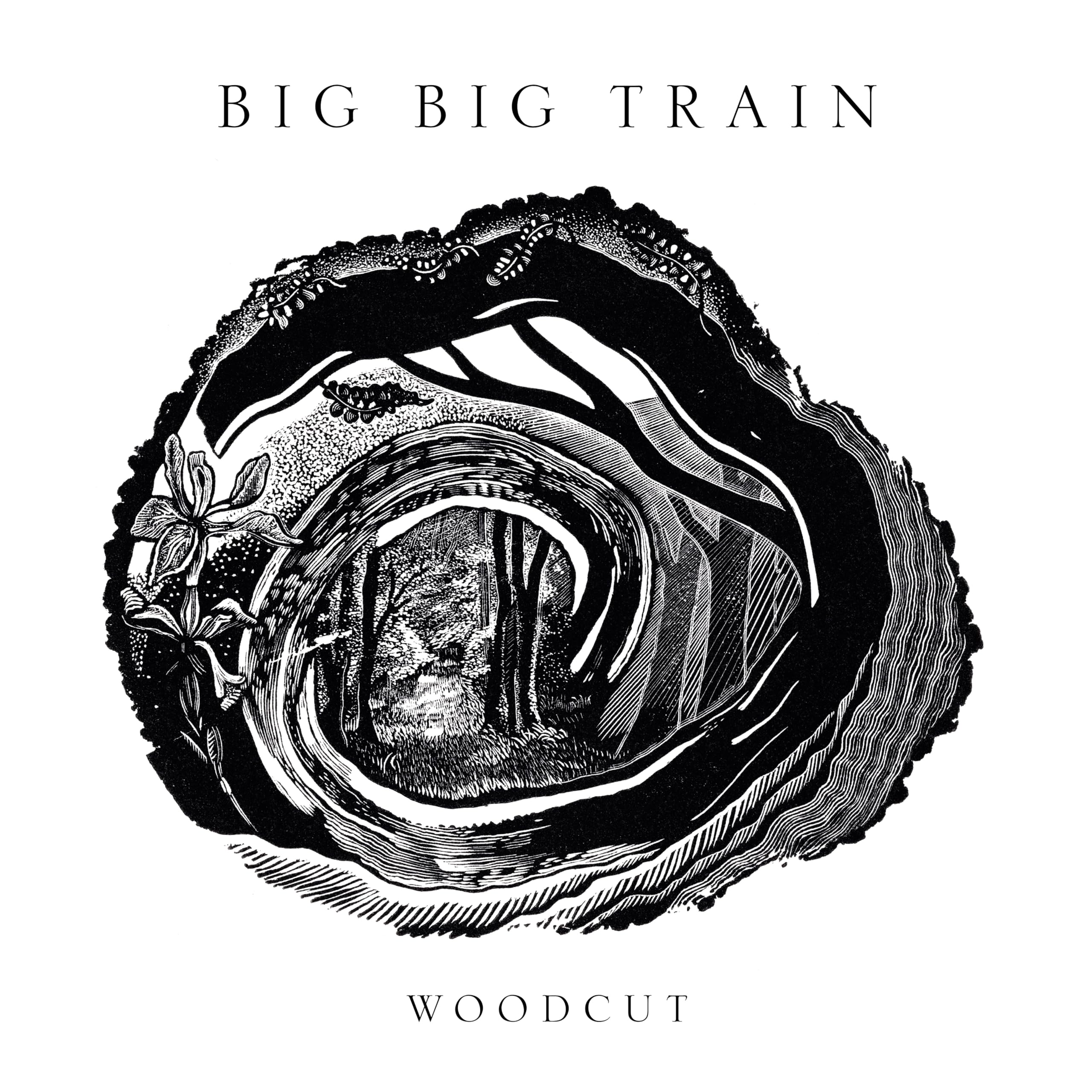 Big Big Train - Woodcut [Audio CD]