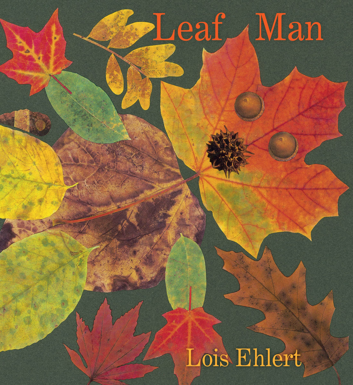 Leaf Man Board Book - Autumnal Classic | Board Book | Ages 3-5 1