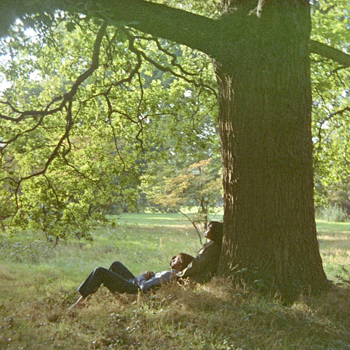 John Lennon - Plastic Ono Band [2LP Vinyl]