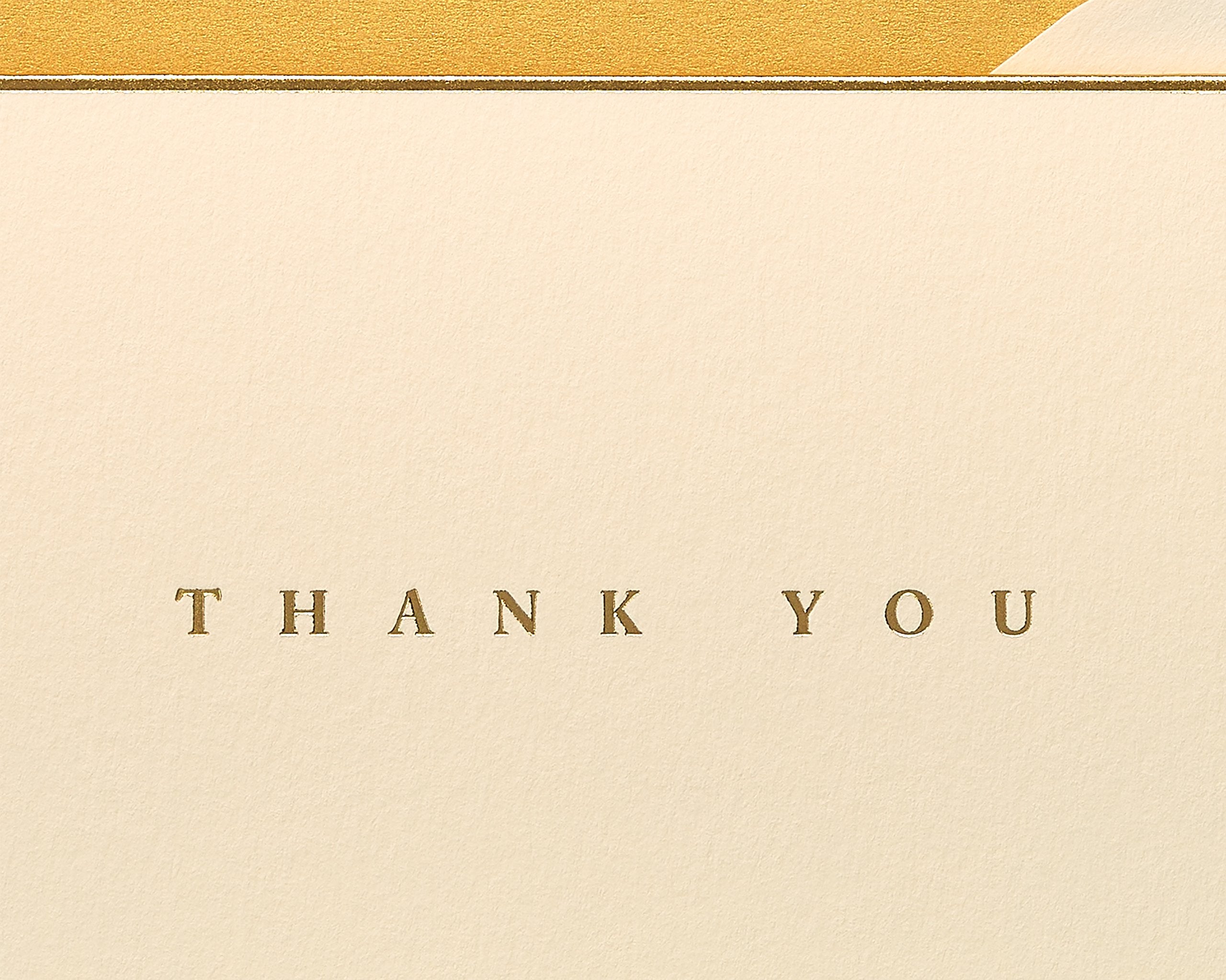 Papyrus Thank You Cards with Gold Border and Cream Envelopes - 16 Count 3