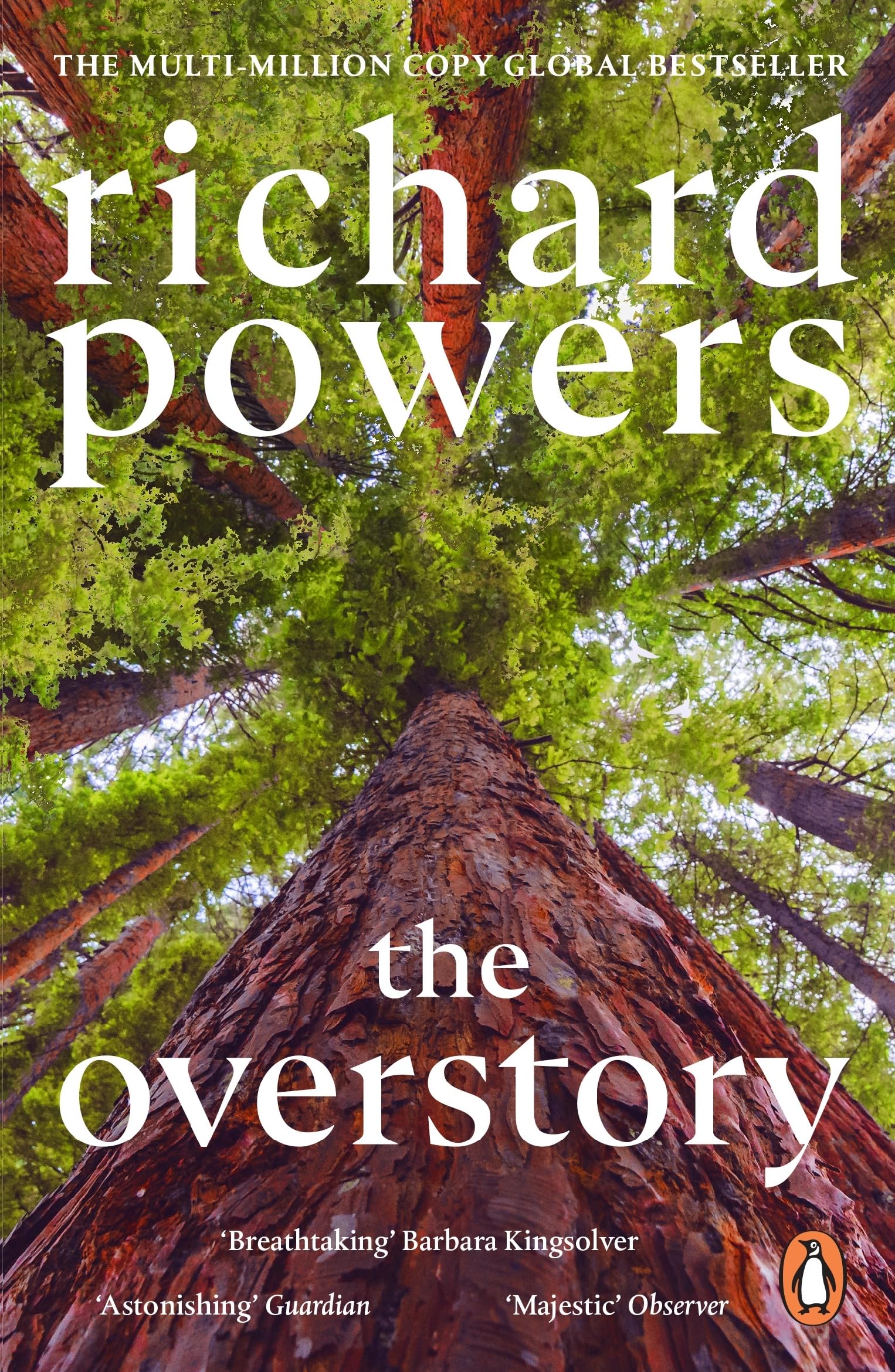 Richard Powers The Overstory - Contemporary Fiction, Paperback, 640 Pages 1