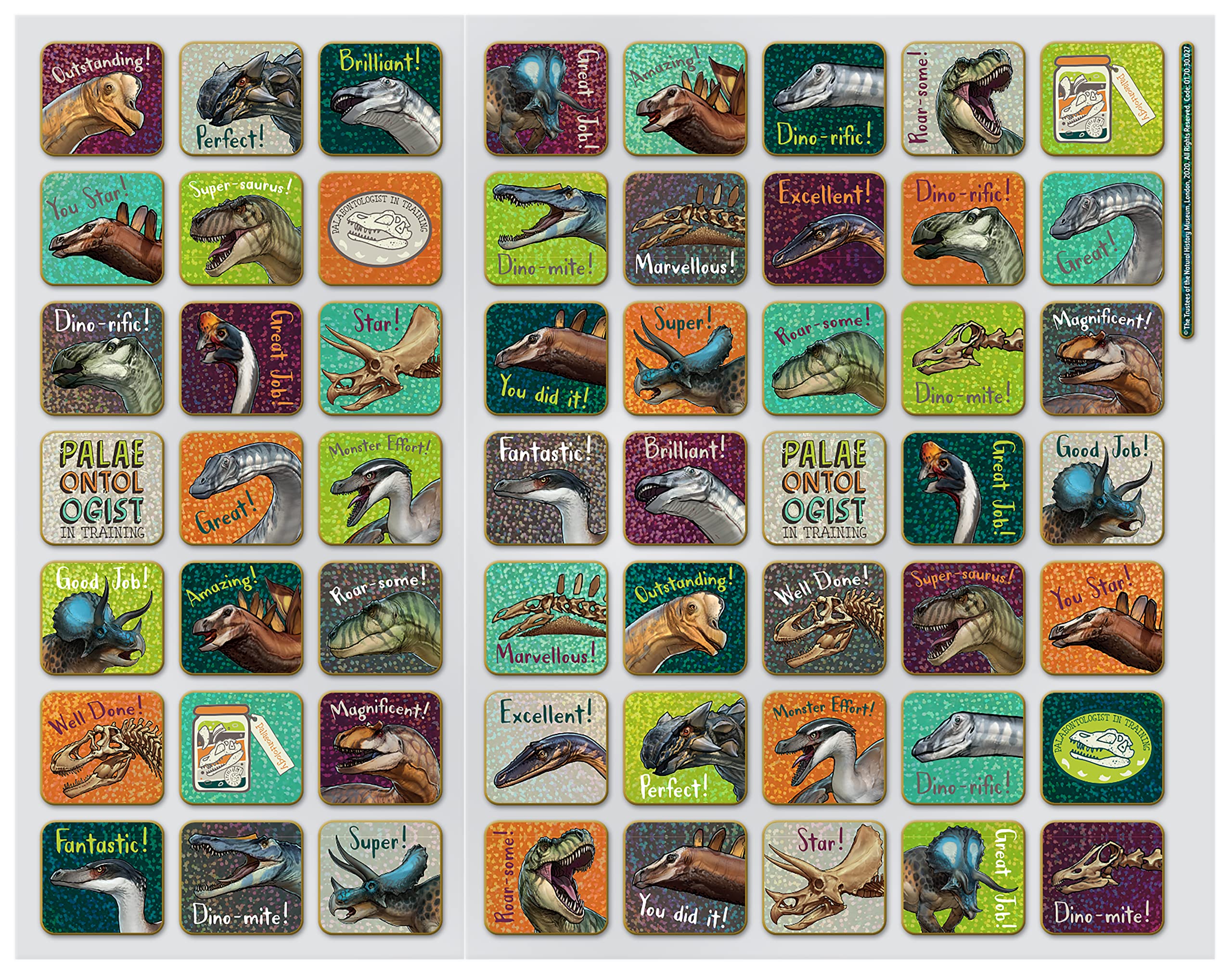 Paper Projects Natural History Museum Dinosaurs Reward Chart | A3 Size | Includes 56 Stickers 2