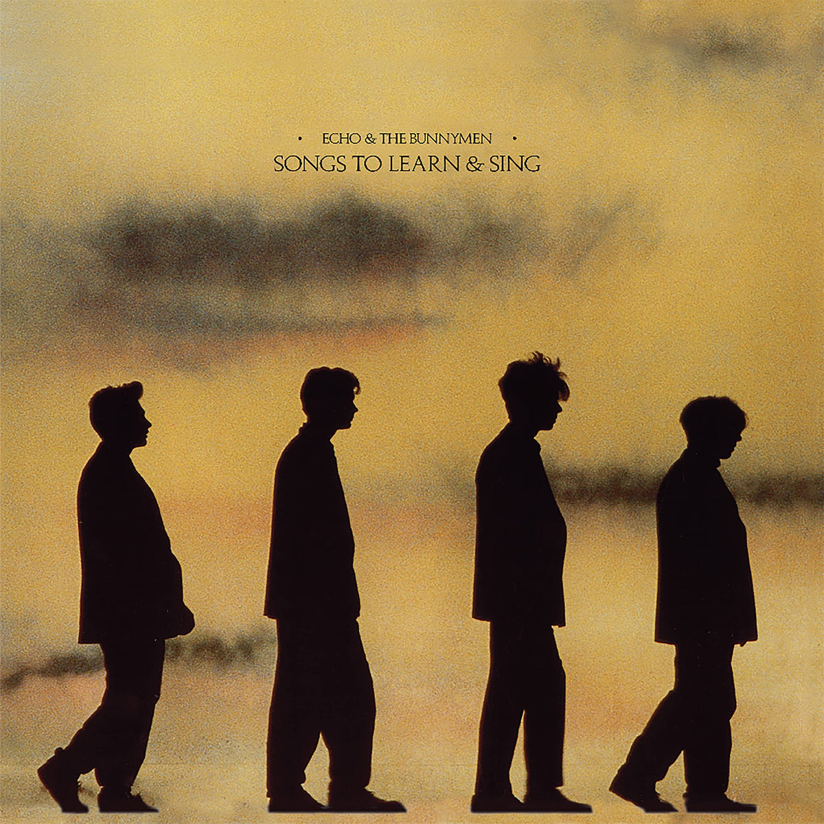Echo & The Bunnymen - Songs to Learn & Sing [Vinyl]