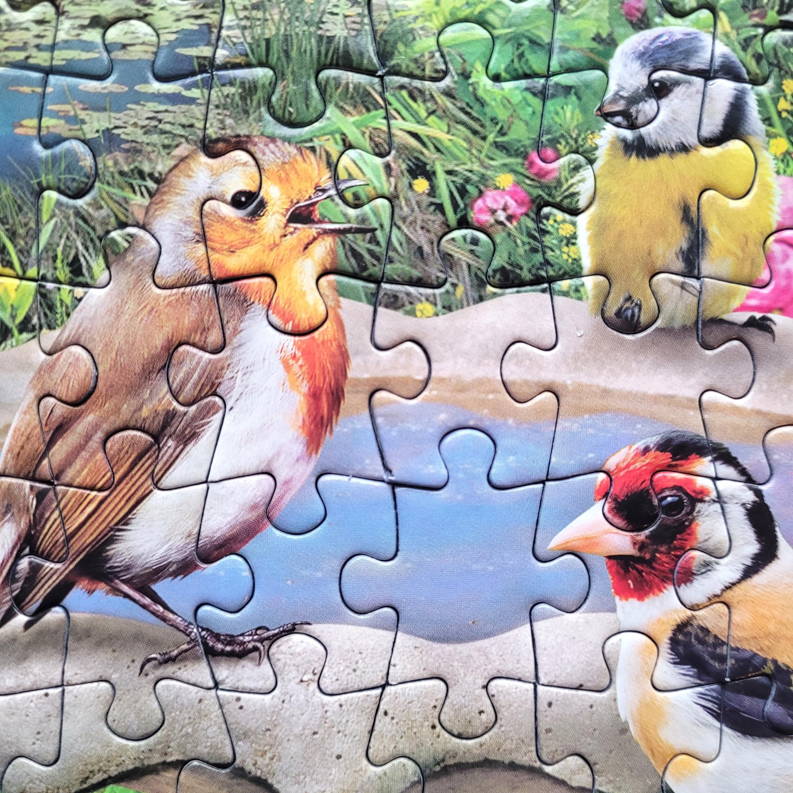 Gibsons Birdsong by the Stream Jigsaw Puzzle - 1000 Pieces | Nature Theme | Adult Puzzle 5
