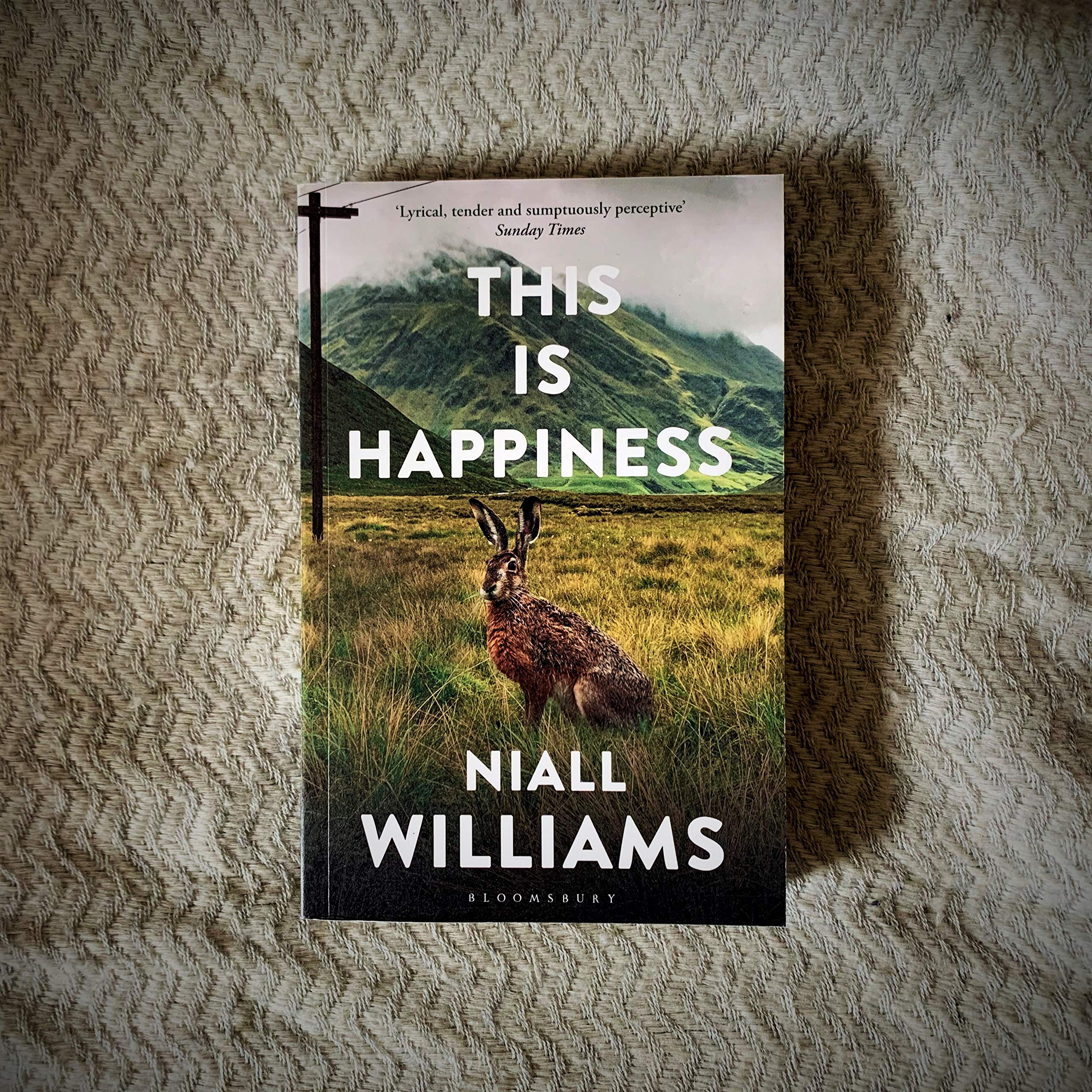 Bloomsbury This Is Happiness by Niall Williams | Contemporary Fiction Paperback