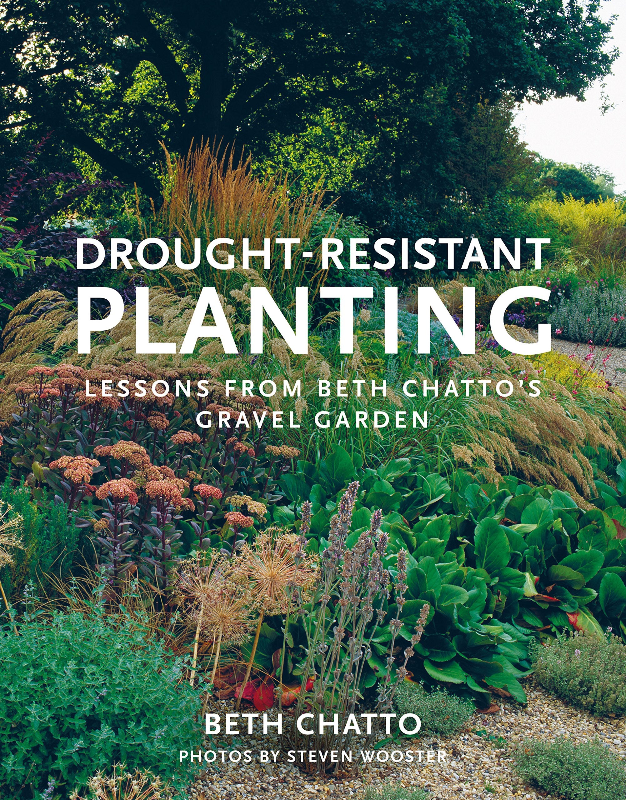 Beth Chatto Drought-Resistant Planting - Illustrated Paperback | 192 Pages | English 1