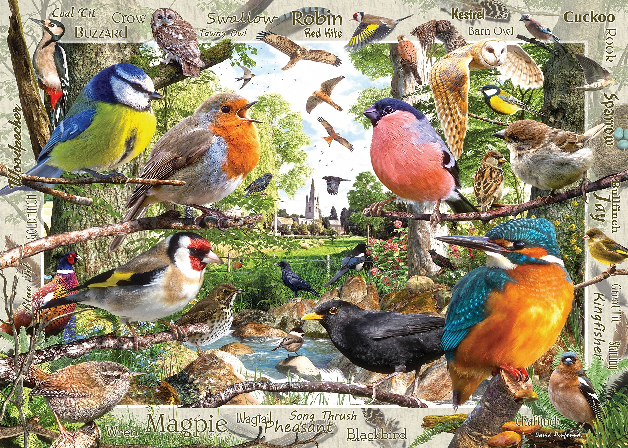 Ravensburger Our Feathered Friends 1000 Piece Jigsaw Puzzle for Adults 1