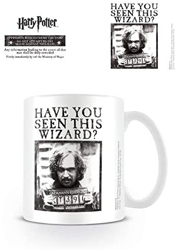 Harry Potter Ceramic Mug with Wanted Poster Graphic in Presentation Box