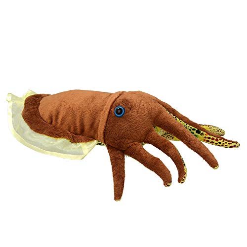 Wild Planet K8378 Cuttlefish 35Cm All About Nature, Multi-Colour, 35 cm