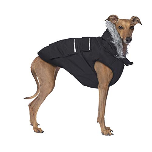 Canada Pooch T10 Explorer’s Jacket for Dogs