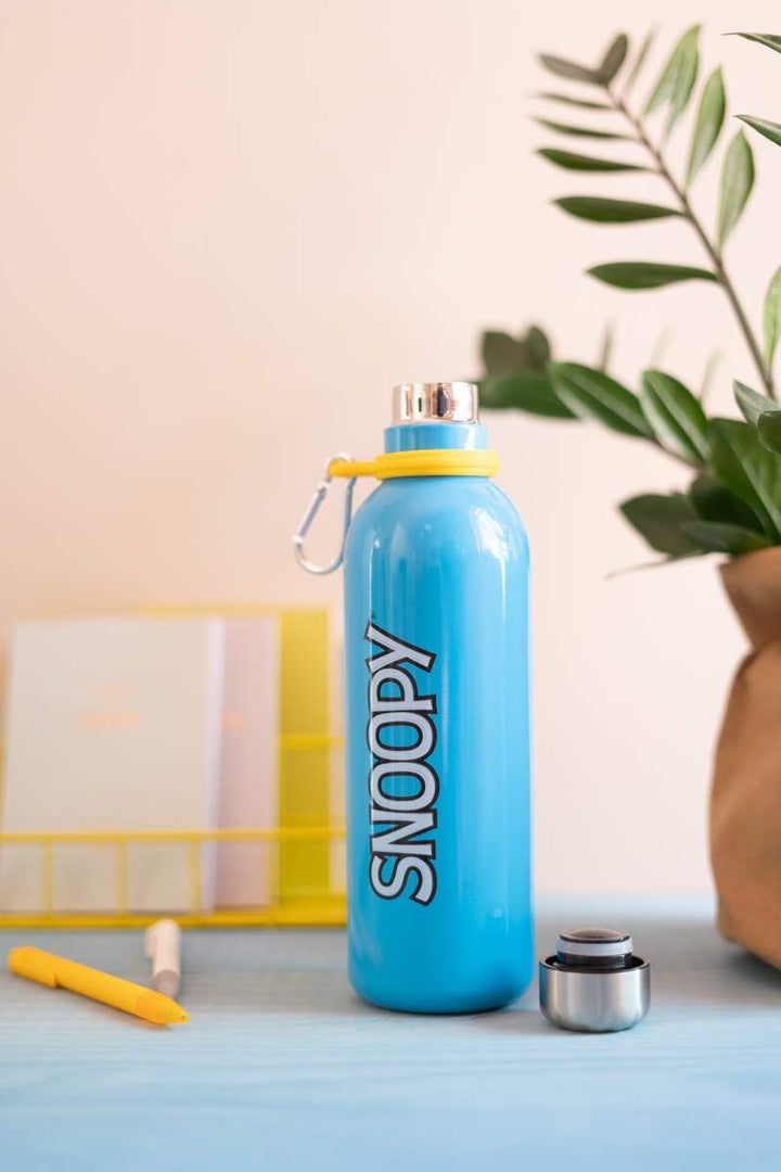 Grupo Erik Official Snoopy Water Bottle-Sports Bottle-500ml / 17OZ, Stainless Steel