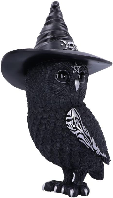 Nemesis Now Owlocen Witch Owl Figurine (B5904V2)