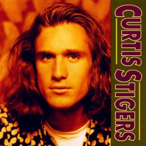 Curtis Stigers [Audio CD]