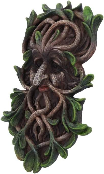 Nemesis Now Tawnya Tree Spirit Wall Plaque, Brown, 28.8cm