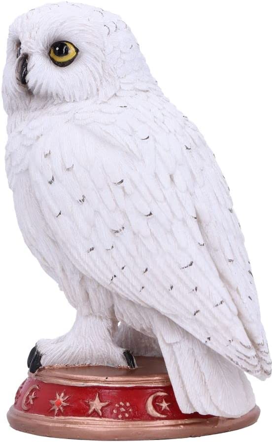 Nemesis Now Wizard's Familiar Owl Figurine, White, 10cm