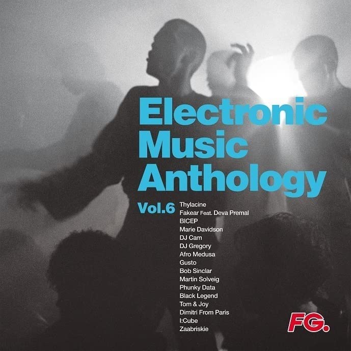 ELECTRONIC MUSIC ANTHOLOGY - VOL 6 [VINYL]