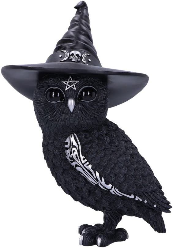 Nemesis Now Owlocen Witch Owl Figurine (B5904V2)