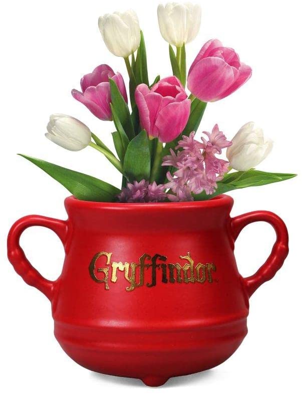 HARRY POTTER - Chaudron Gryffondor - Pot de fleur mural