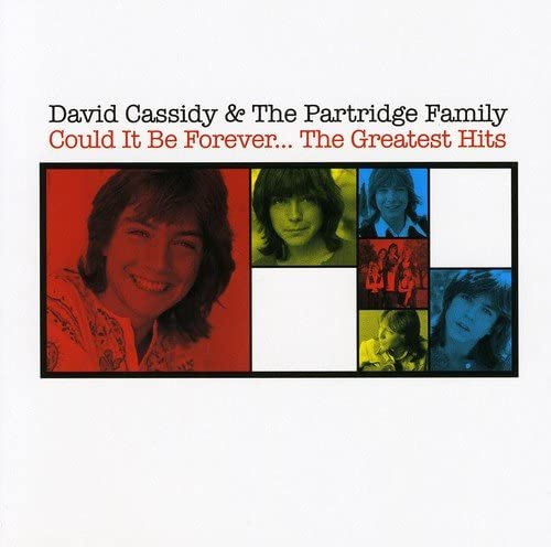 Could It Be Forever - The Greatest Hits - David Cassidy The Partridge Family [Audio CD]