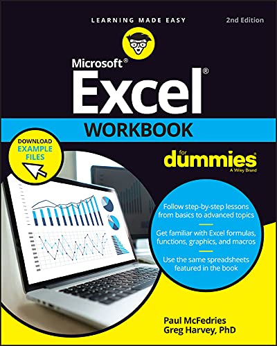 Excel Workbook For Dummies [Paperback ]