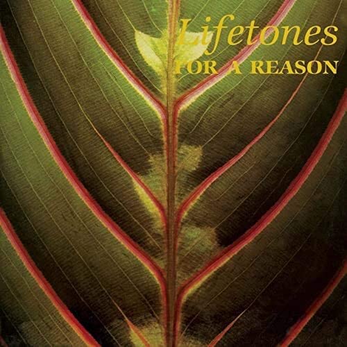 Lifetones - For A Reason [VINYL]