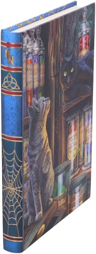 Nemesis Now Lisa Parker Magical Emporium Journal, Multi Coloured, 17cm