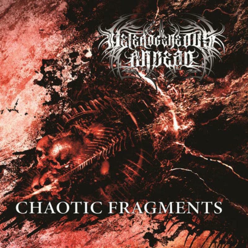 Heterogeneous Andead - Chaotic Fragments [Audio CD]