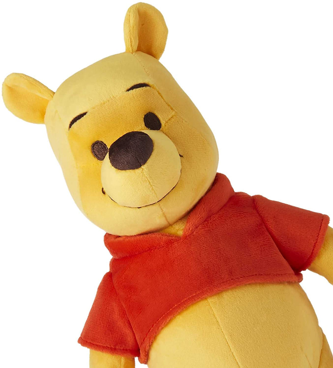 Disney Winnie the Pooh Your Friend Pooh Feature Plush, HGR58
