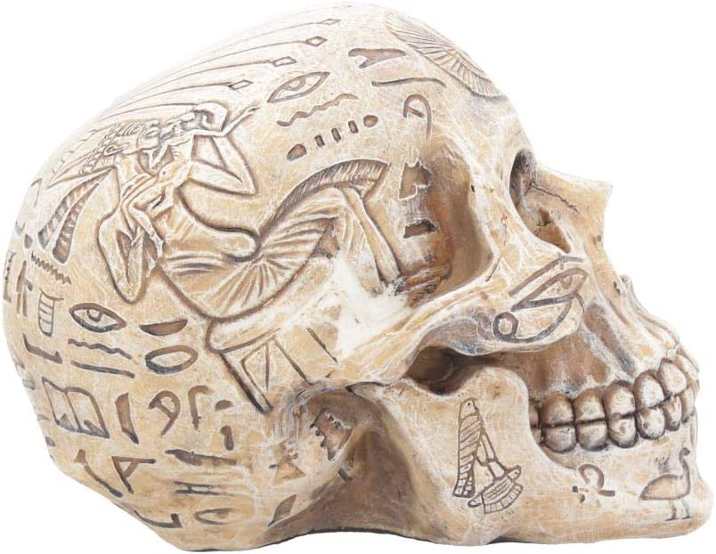 Nemesis Now D1979F6 Hieroglyphic Skull Figurine 16cm Ivory