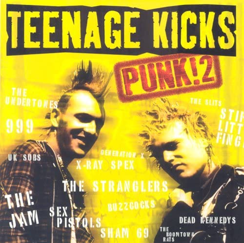 Teenage Kicks - Punk 2 [Audio CD]
