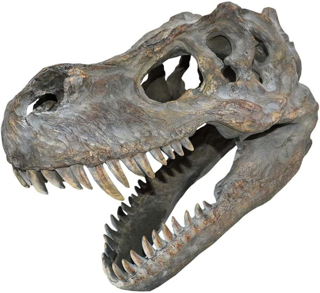 Nemesis Now Tyrannosaurus Rex Skull Small Wall Plaque 31cm Brown
