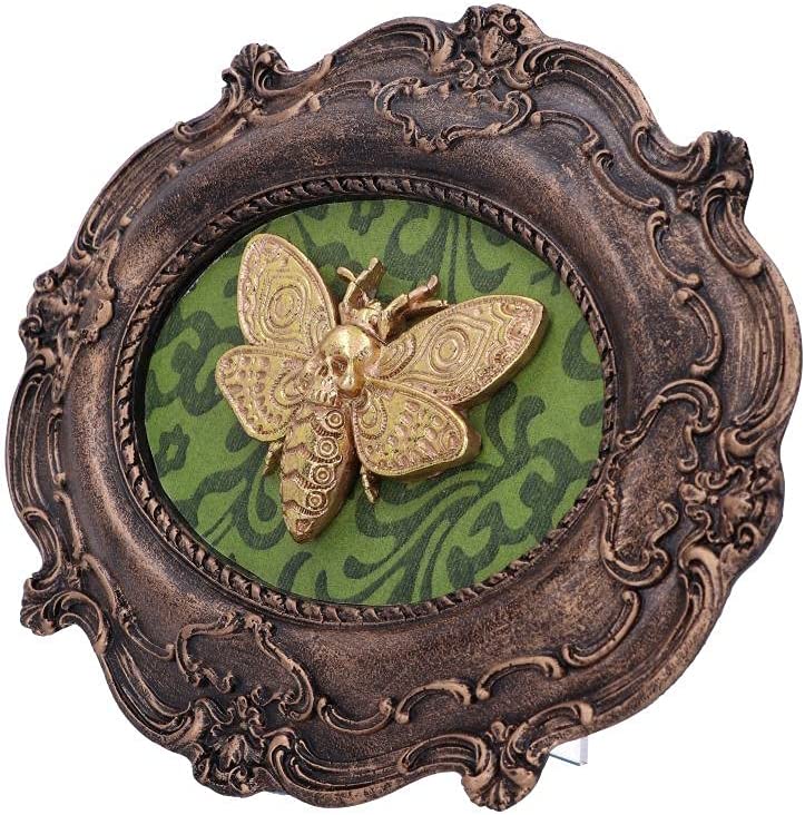 Nemesis Now Macabre Baroque Framed Death's Head Moth Wall Plaque, Polyresin, Bro