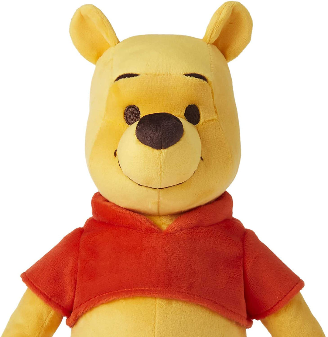 Disney Winnie the Pooh Your Friend Pooh Feature Plush, HGR58