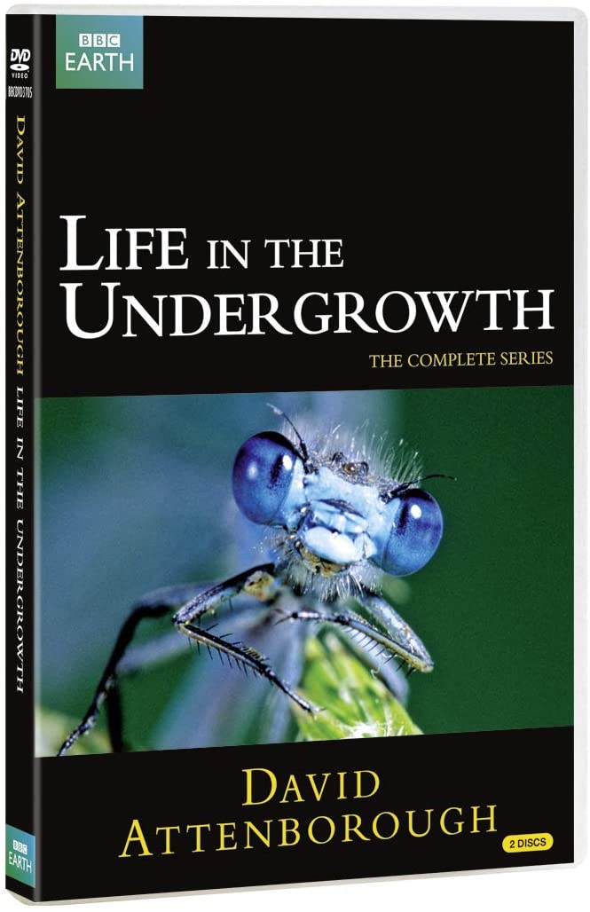 Life in the Undergrowth (Repackaged)