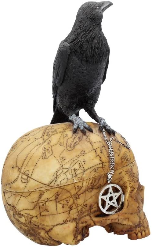 Nemesis Now Salems Familiar Box 27m Black, Resin, 27cm