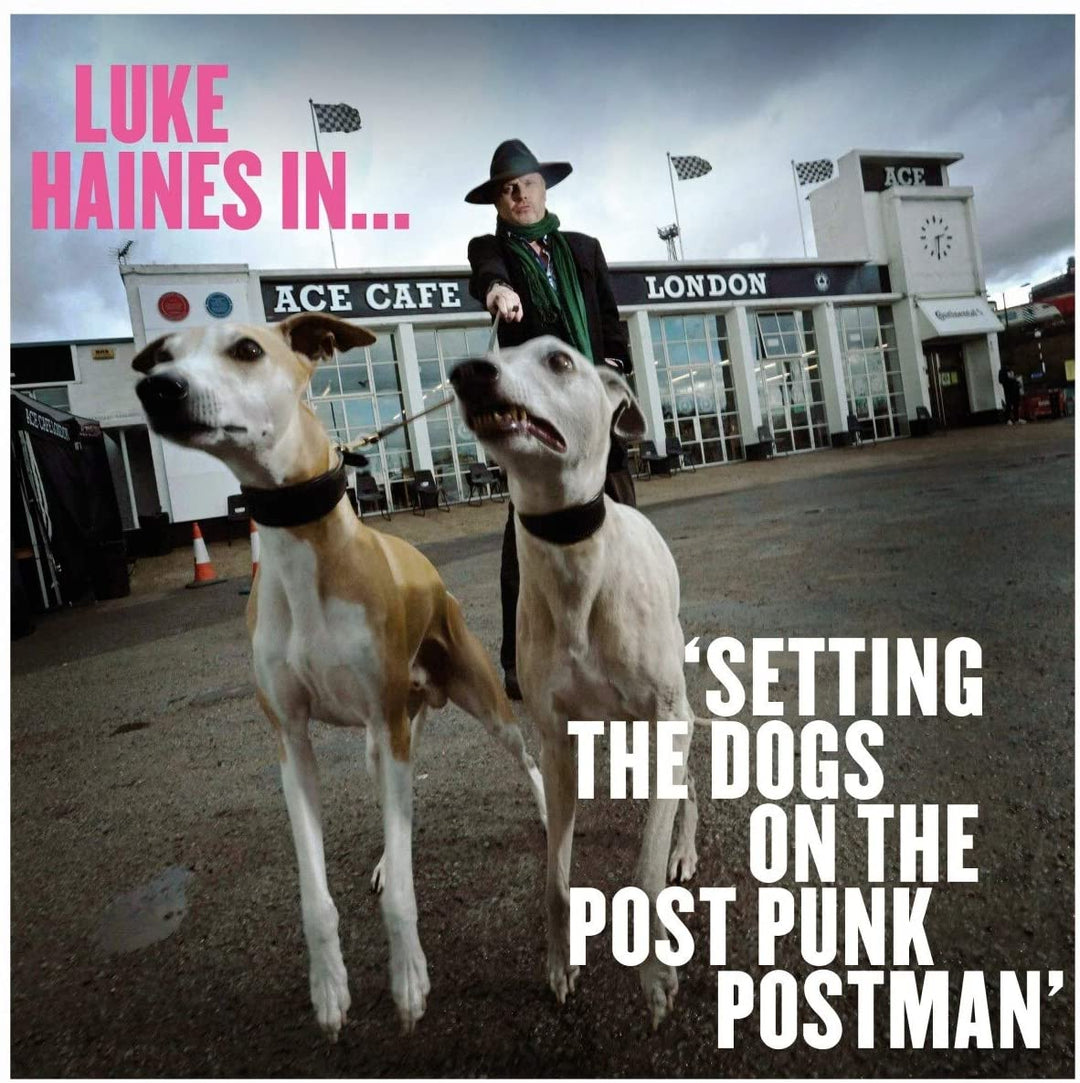 Luke Haines - Luke Haines In...Setting The Dogs On The Post Punk Postman [Audio CD]