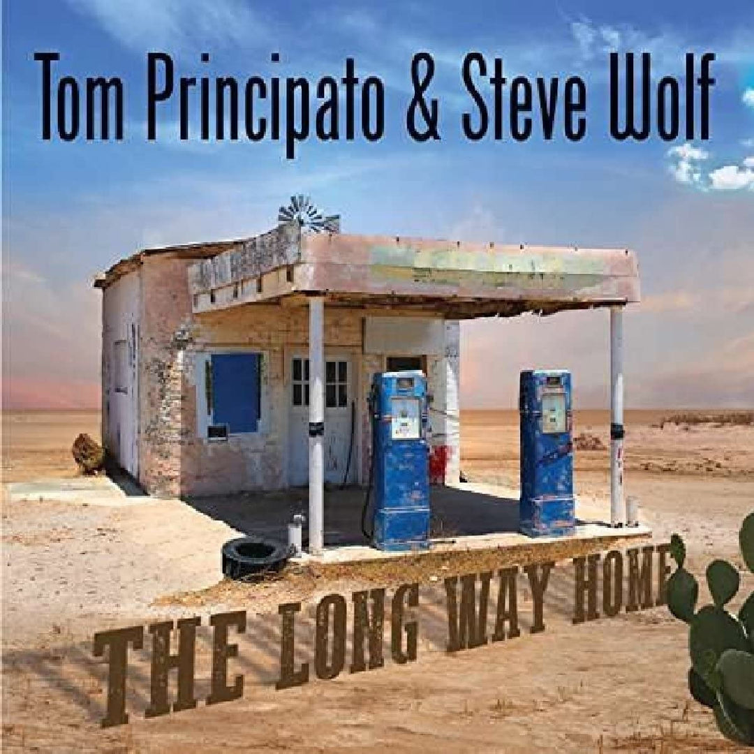 The Long Way Home - Tom Principato & Steve Wolf [Audio CD]