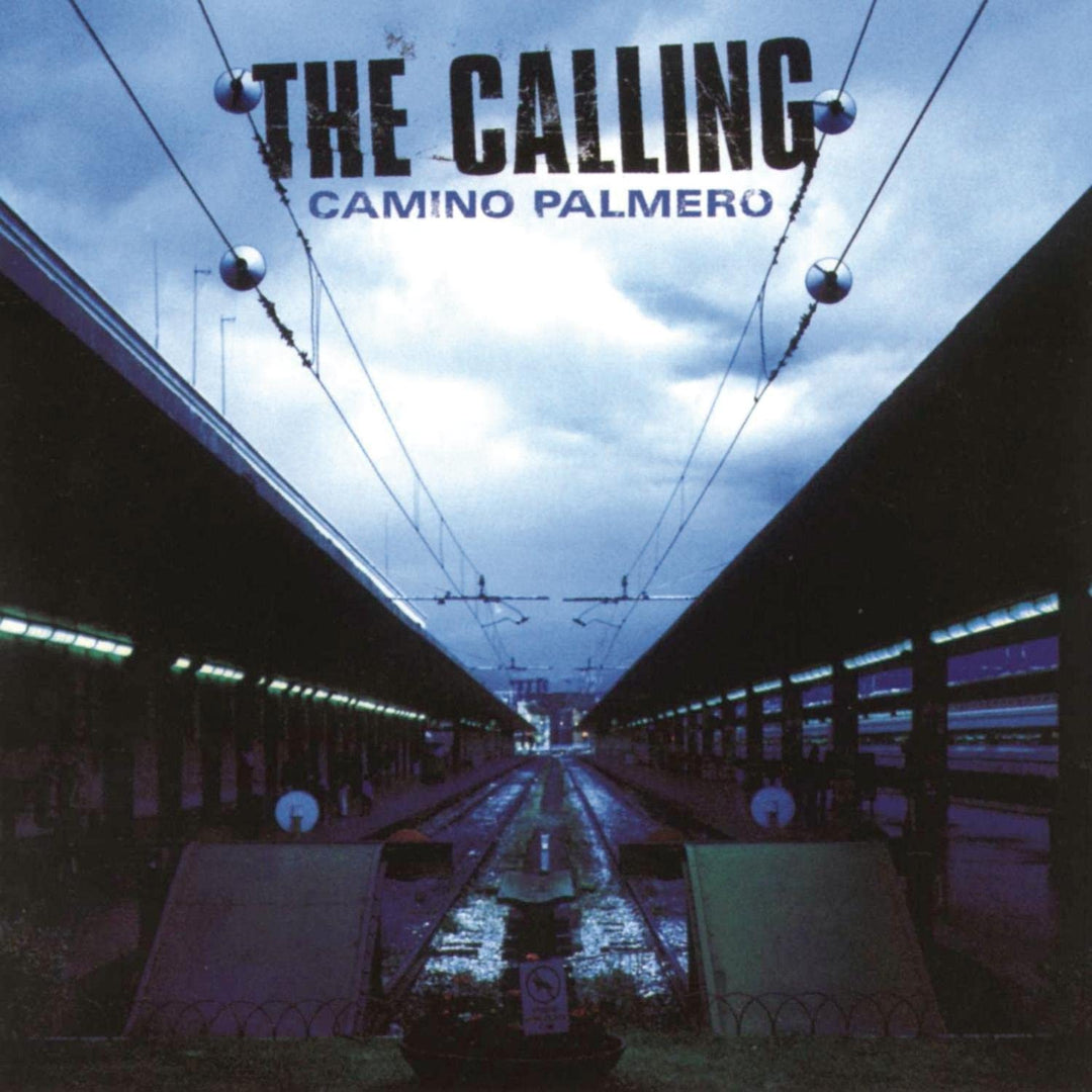 Camino Palmero [Audio CD]