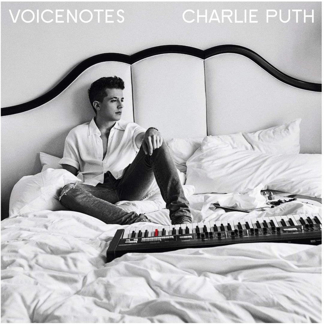 Voicenotes [Audio CD]