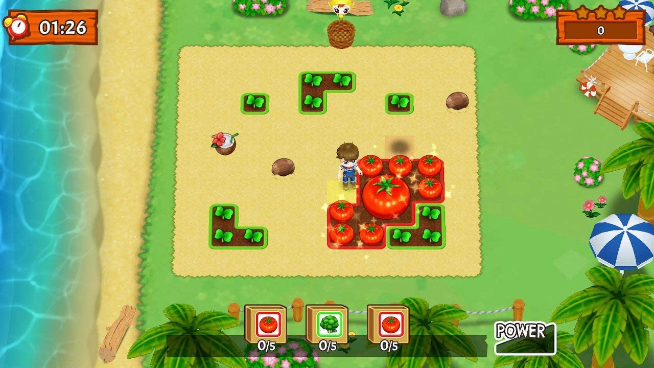 Harvest Moon Mad Dash (Nintendo Switch) 5