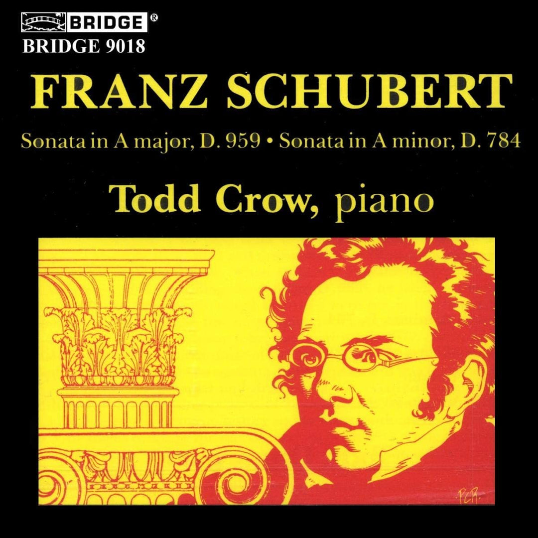 Schubert - Piano Sonatas, D784 & 959 [Audio CD]