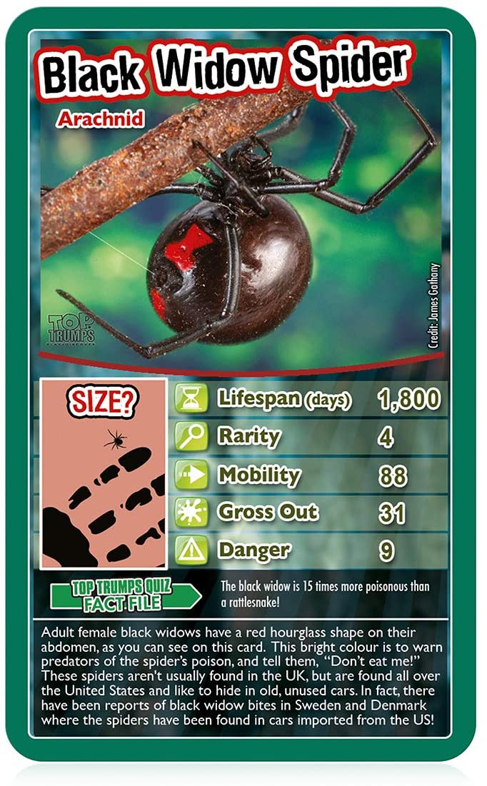 Bugs Top Trumps Card Game