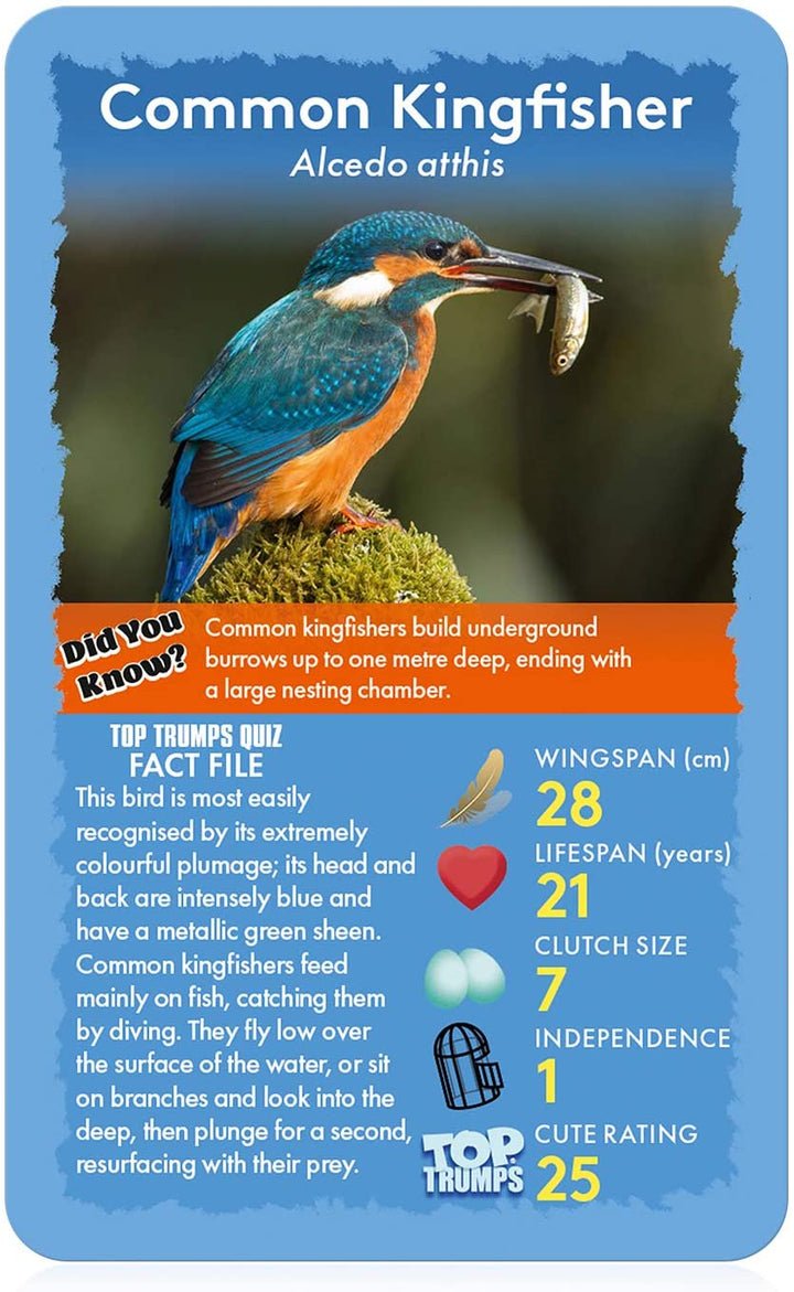 Birds Top Trumps Card Game